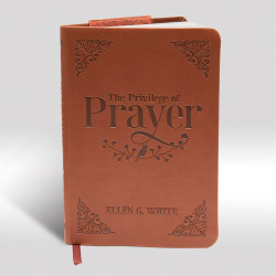 The Privilege of Prayer
