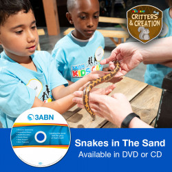 Snakes in The Sand