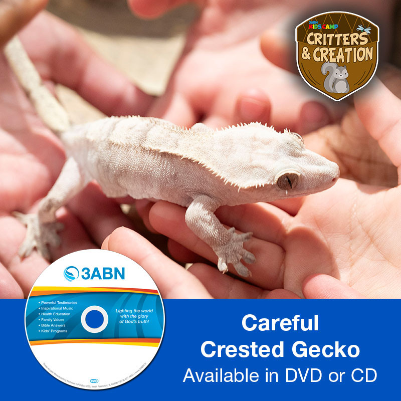 Careful Crested Gecko