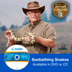Sunbathing Snakes