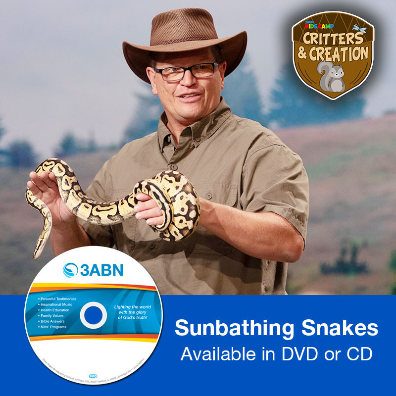 Sunbathing Snakes
