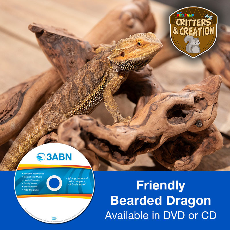 Friendly Bearded Dragon
