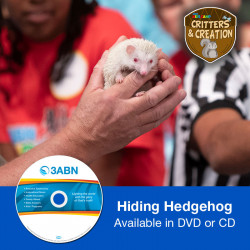 Hiding Hedgehog