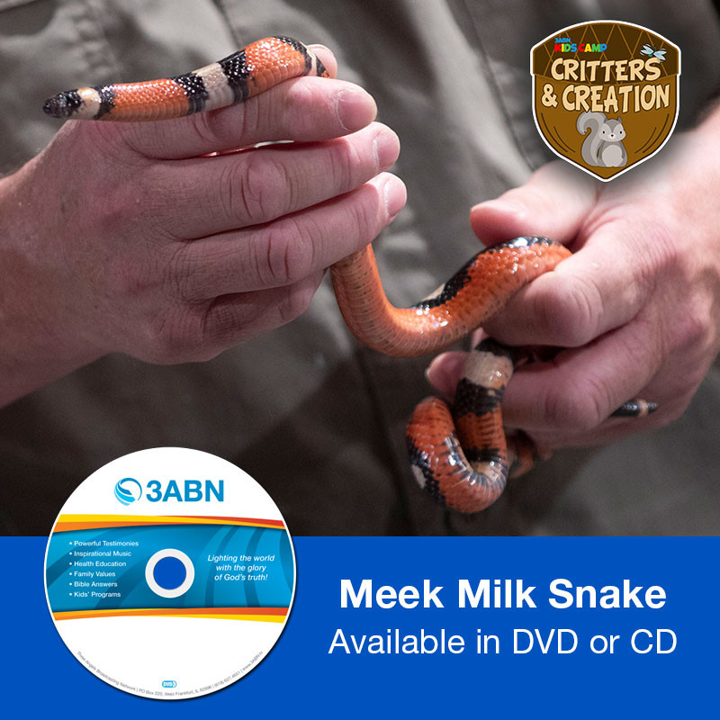 Meek Milk Snake