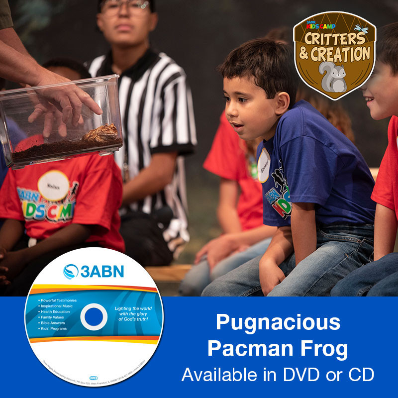 Pugnacious Pacman Frog