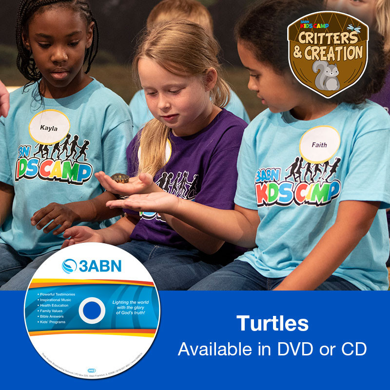 Turtles