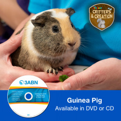 Guinea Pig