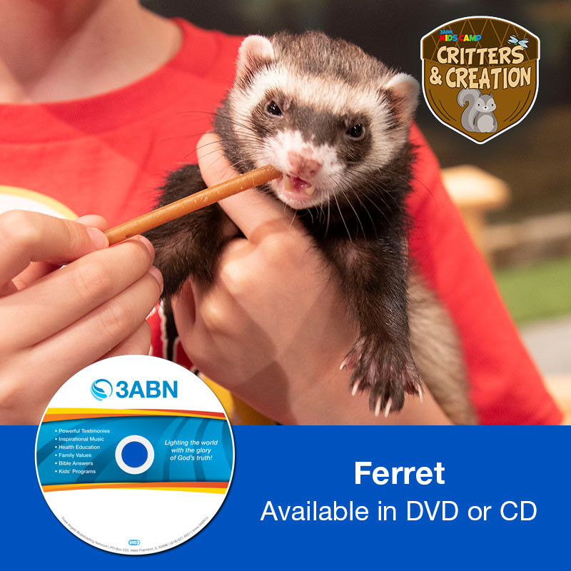 Ferret