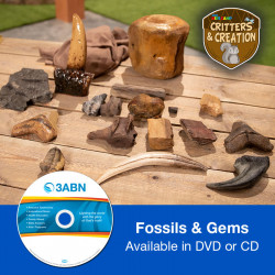 Fossils & Gems