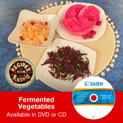 Fermented Vegetables