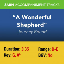 A Wonderful Shepherd -...
