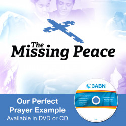 Our Perfect Prayer Example
