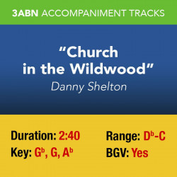 Church in the Wildwood -...