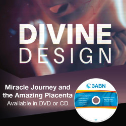 Miracle Journey and the Amazing Placenta