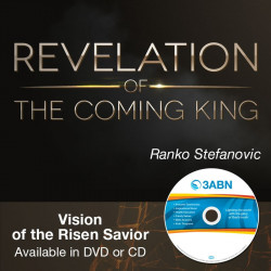 Vision of the Risen Savior