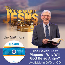 The Seven Last Plagues - Why Will God Be so Angry?