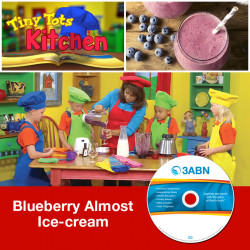 Blueberry Almost Ice-cream