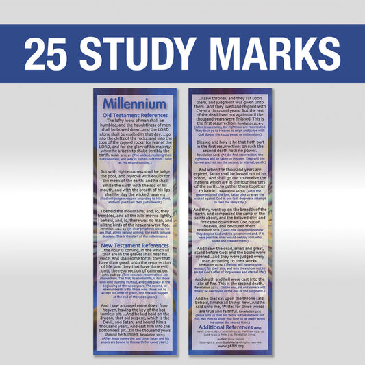Millennium Study Mark Pack