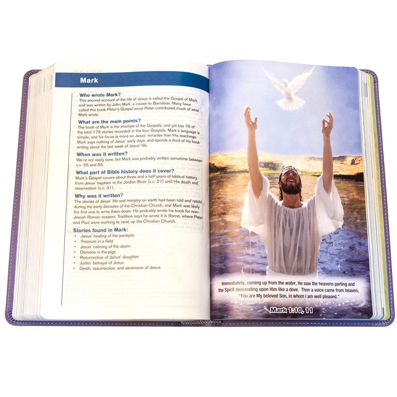 3ABN NKJV Young Scholar Study Bible