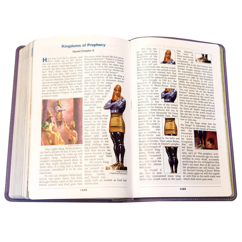 3ABN NKJV Young Scholar Study Bible