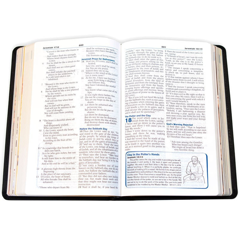 3ABN NKJV Young Scholar Study Bible