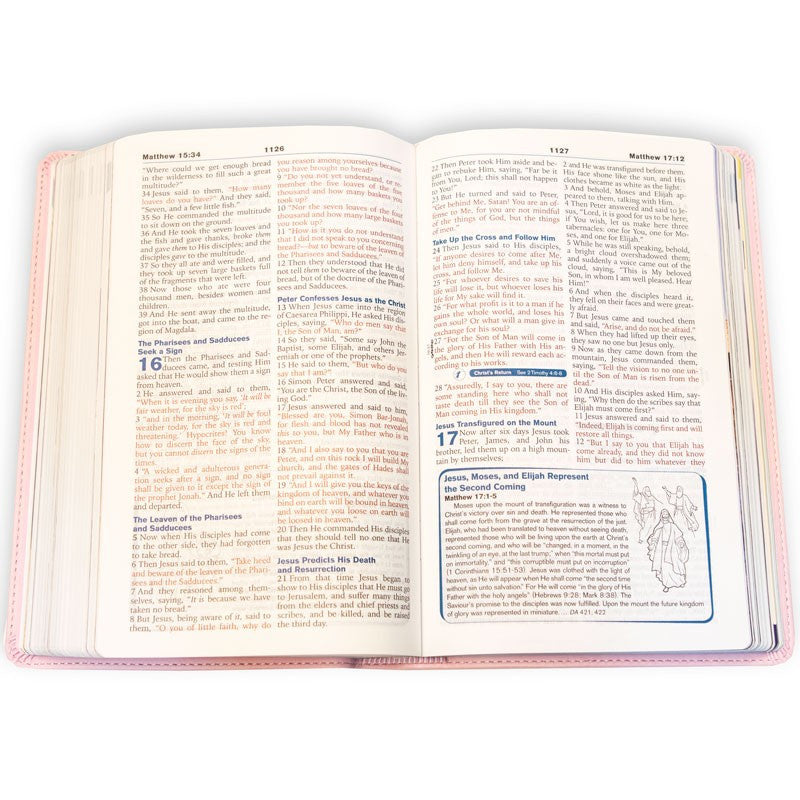 3ABN NKJV Young Scholar Study Bible