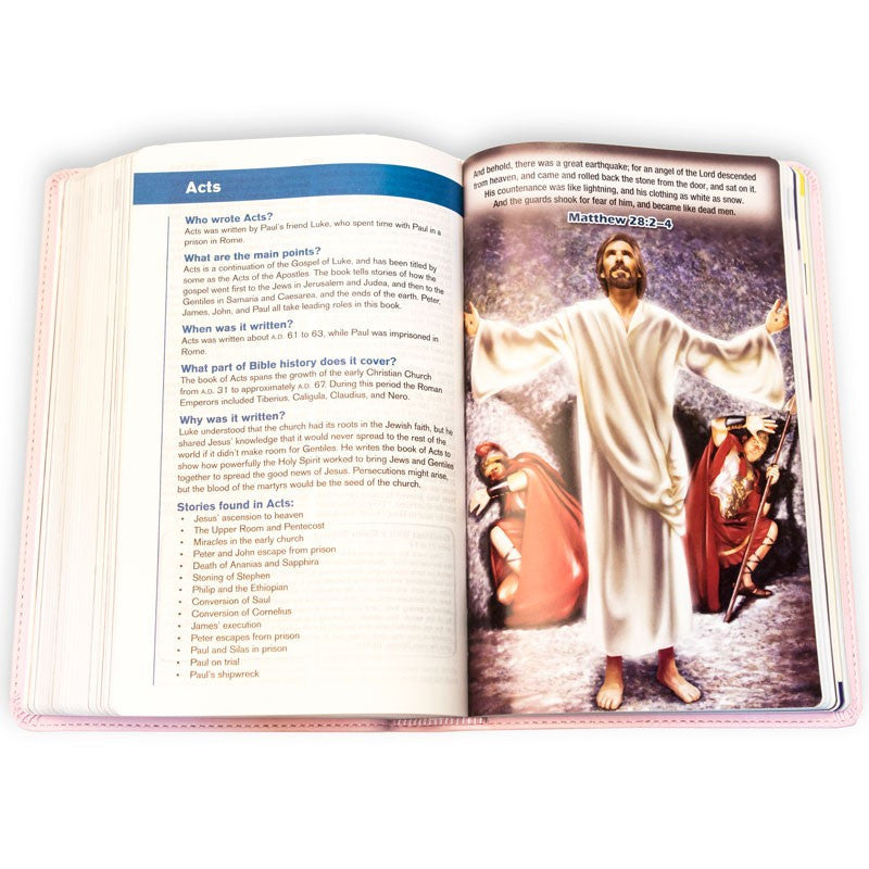 3ABN NKJV Young Scholar Study Bible