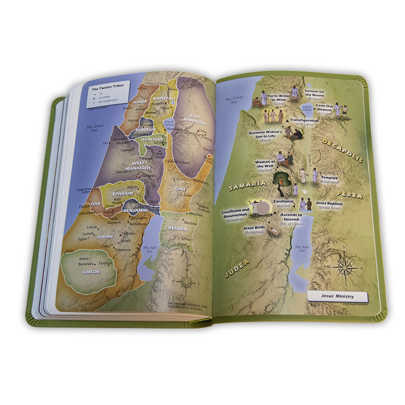 Kids Network Young Scholar Bible