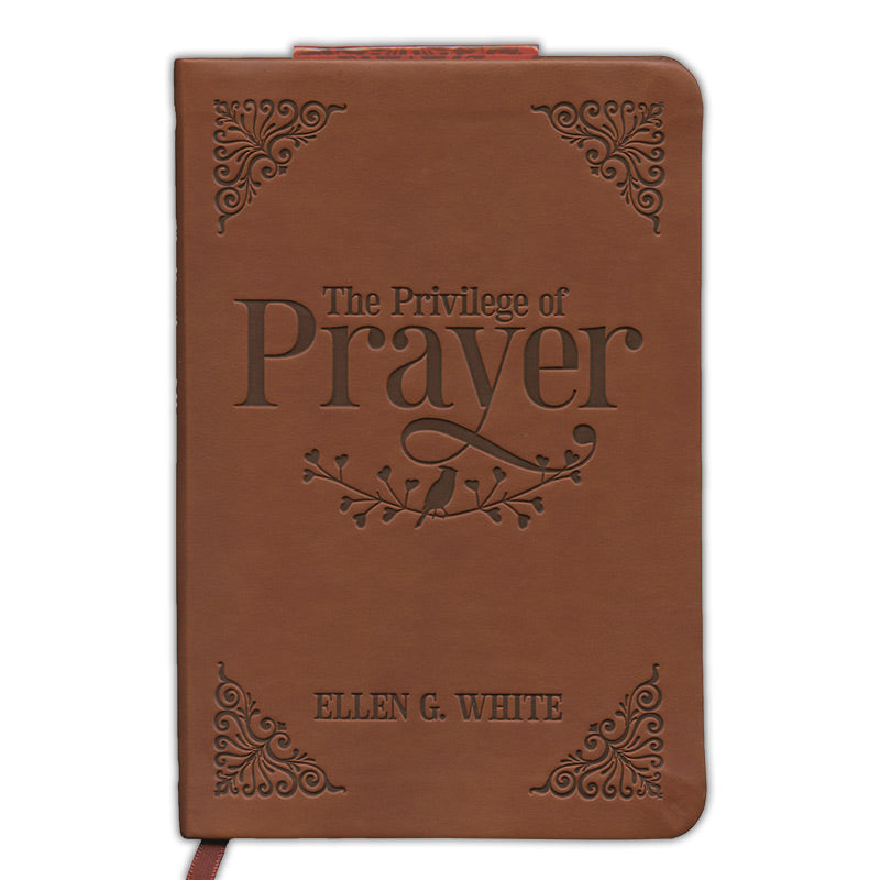 The Privilege of Prayer