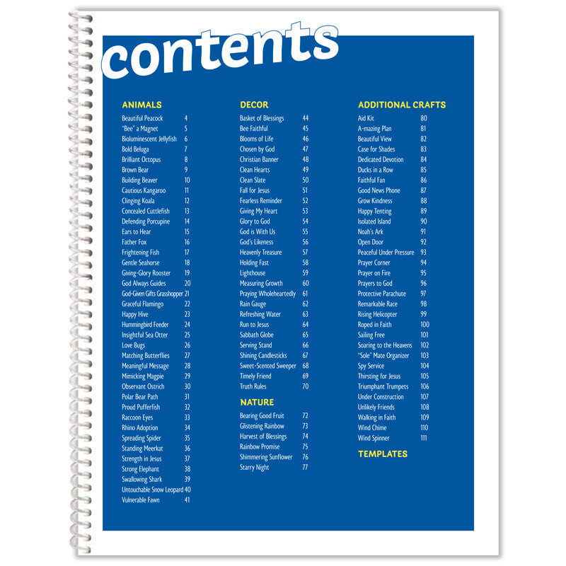 Kids Network Craft Book