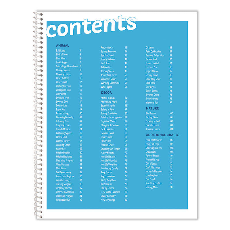 Kids Network Craft Book