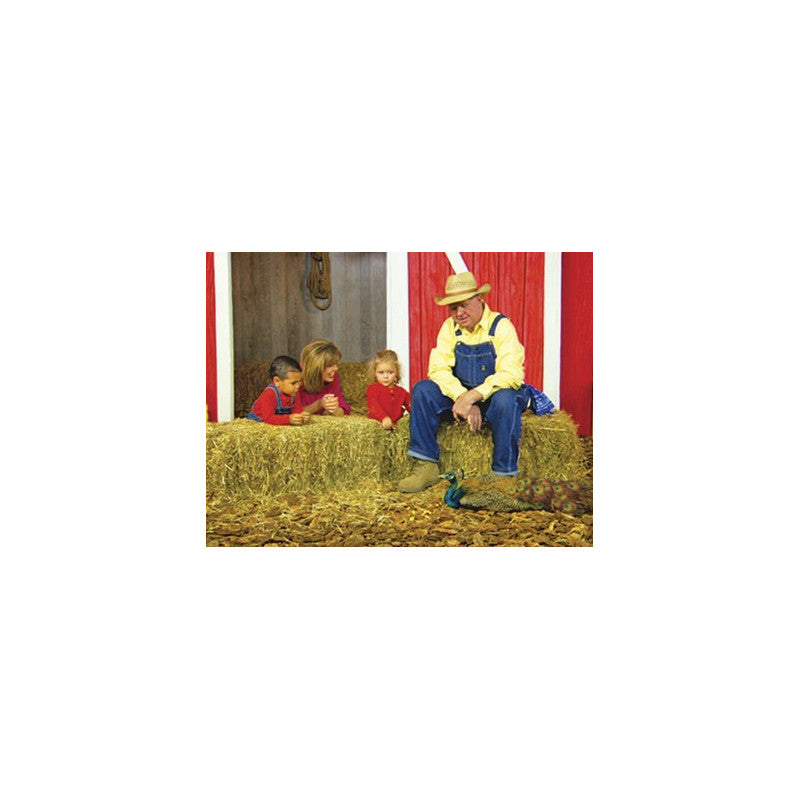 Tiny Tots for Jesus Volume 5 DVDs