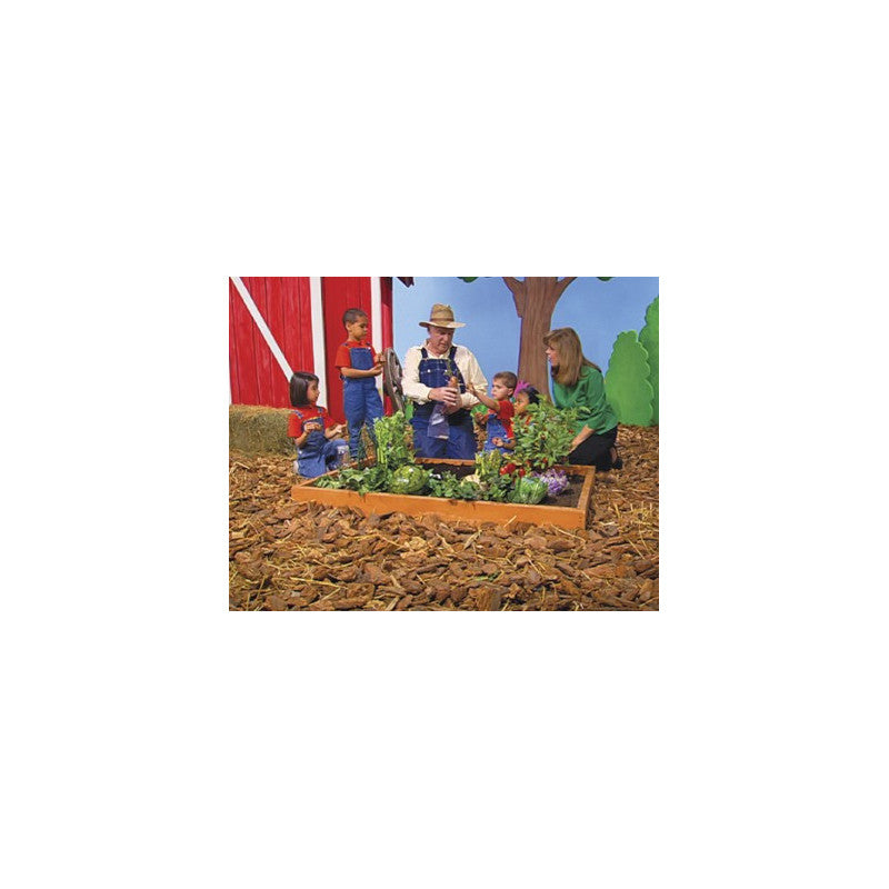 Tiny Tots for Jesus Volume 9 DVDs